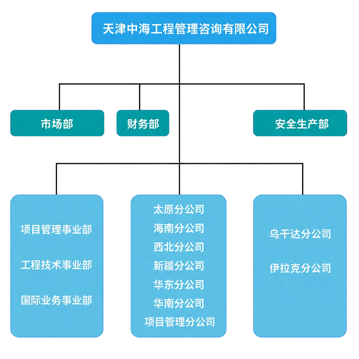 天津中海工程管理咨询有限公司组织架构图
