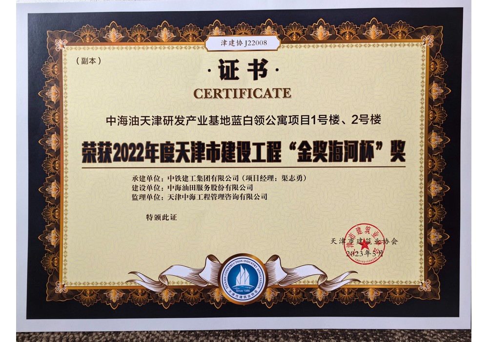Gold Award of Haihe Cup